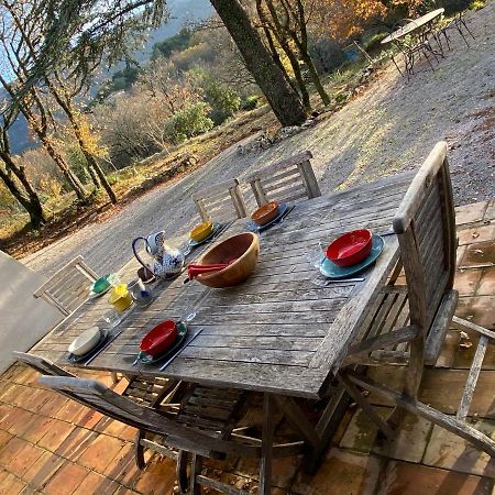 La Maison De Mado Et Sa Cabane Dans Les Arbres Plan d'Aups Εξωτερικό φωτογραφία