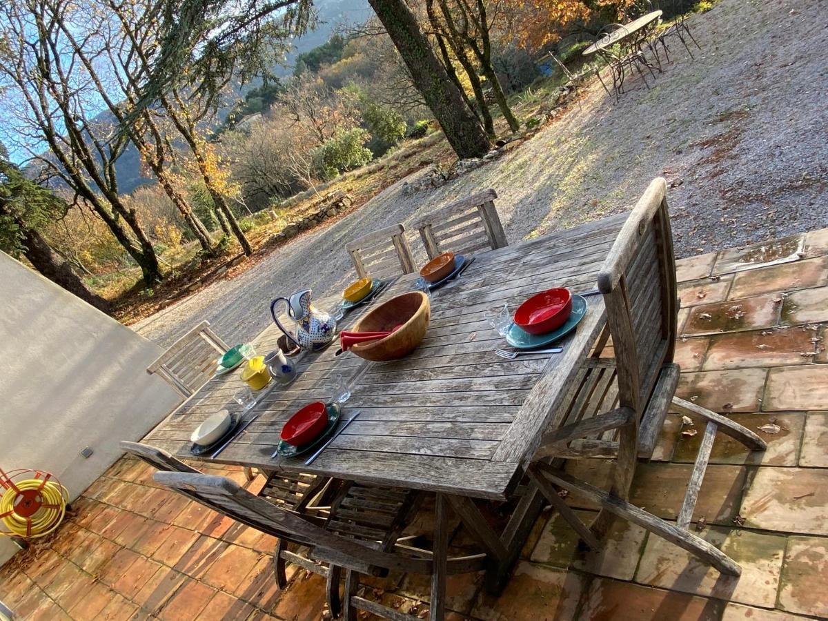 La Maison De Mado Et Sa Cabane Dans Les Arbres Plan d'Aups Εξωτερικό φωτογραφία