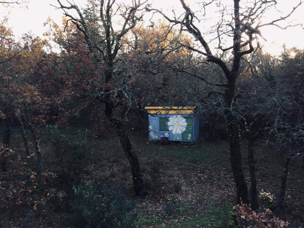 La Maison De Mado Et Sa Cabane Dans Les Arbres Plan d'Aups Εξωτερικό φωτογραφία
