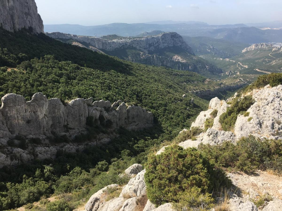 La Maison De Mado Et Sa Cabane Dans Les Arbres Plan d'Aups Εξωτερικό φωτογραφία