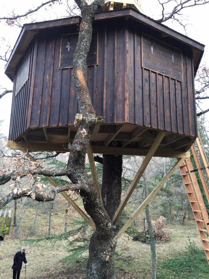 La Maison De Mado Et Sa Cabane Dans Les Arbres Plan d'Aups Εξωτερικό φωτογραφία