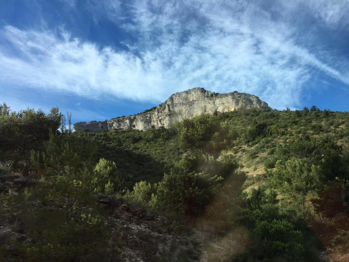 La Maison De Mado Et Sa Cabane Dans Les Arbres Plan d'Aups Εξωτερικό φωτογραφία